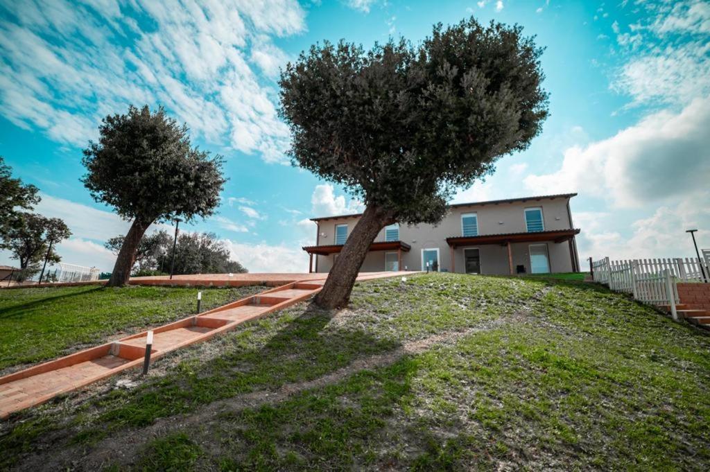 Agriturismo Il Colle Dei Lecci Ancona Dış mekan fotoğraf